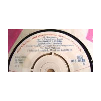 Svatovítský chrám / Lady Jane