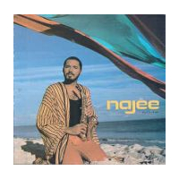 Najee s Theme