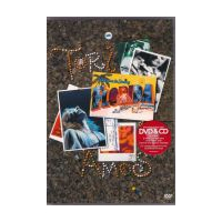 Welcome To Sunny Florida