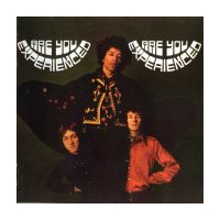 Are You Experienced?