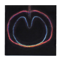 Wasp Star (Apple Venus Volume 2)