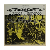 Classical Flamenco Guitar