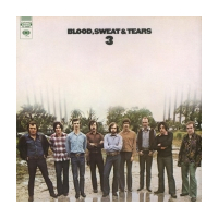 Blood Sweat & Tears 3