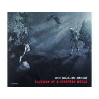 Illusion Of A Separate World