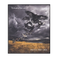 Rattle That Lock (CD+DVD Box)