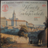 Koncerty pro violu a orchestr