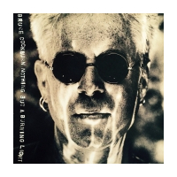 Nothing But A Burning Light