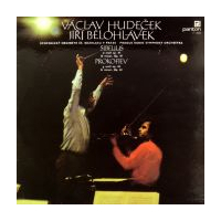 Violin Concertos D Minor