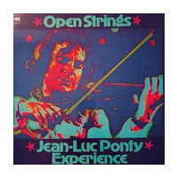 Open Strings