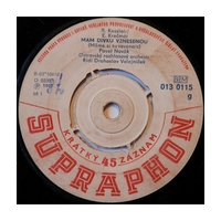 Mám dívku vzneenou / Malinká