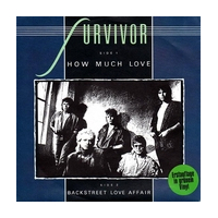 How Much Love / Backstreet Love Affair