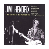 The Guitar Experience