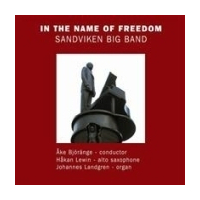 In The Name Of Freedom