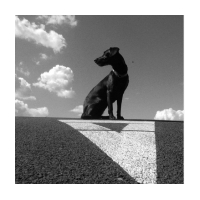 Pohybliví v nehybnom