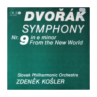 Symphony Nr. 9 In E Minor