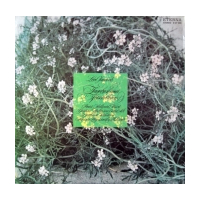 Tagebuch eines Verschollenen