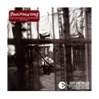 Chaos And Creation In The Backyard