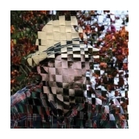 Light Of The Golden Day