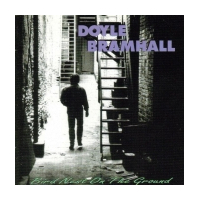 Bird Nest On The Ground