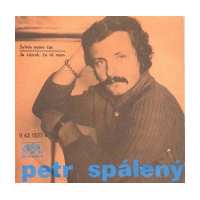 Sylvie nemá èas / Je zázrak