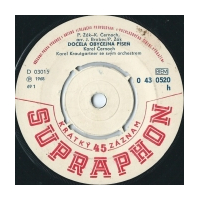 Docela obyèejná píseò / Krásná neznámá