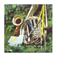 V richtarovej studni