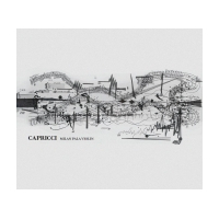 Capricci for violin solo written by Slovak and Czech Composers