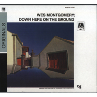 Down Here On The Ground