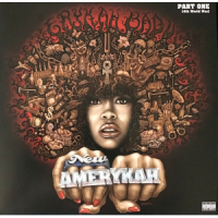 New Amerykah: Part One (4th World War)