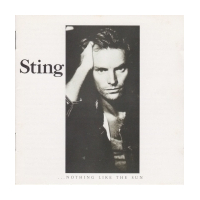 ...Nothing Like The Sun