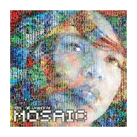 Mosaic Project