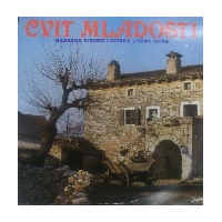 Narodne pjesme I svirka June Istre